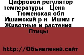 Цифровой регулятор температуры › Цена ­ 500 - Тюменская обл., Ишимский р-н, Ишим г. Животные и растения » Птицы   